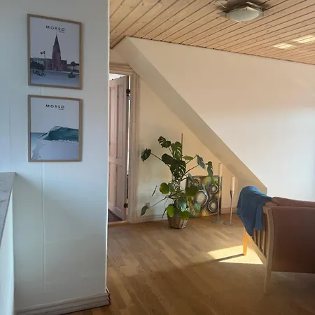 Svane's Air-bnb Rum i privatbostad